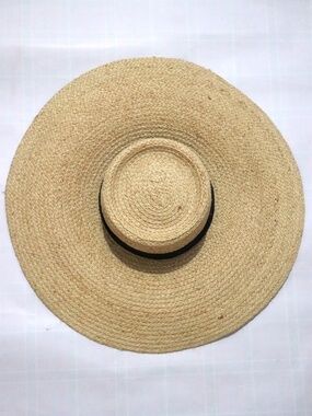 Aritzia Wide-brim Straw Hat